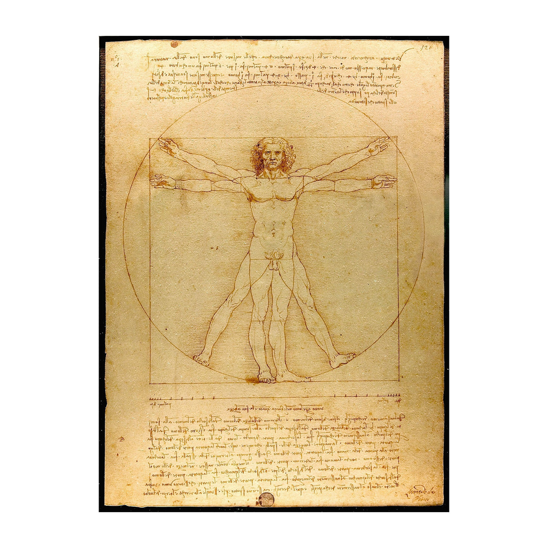 Leonardo da Vinci