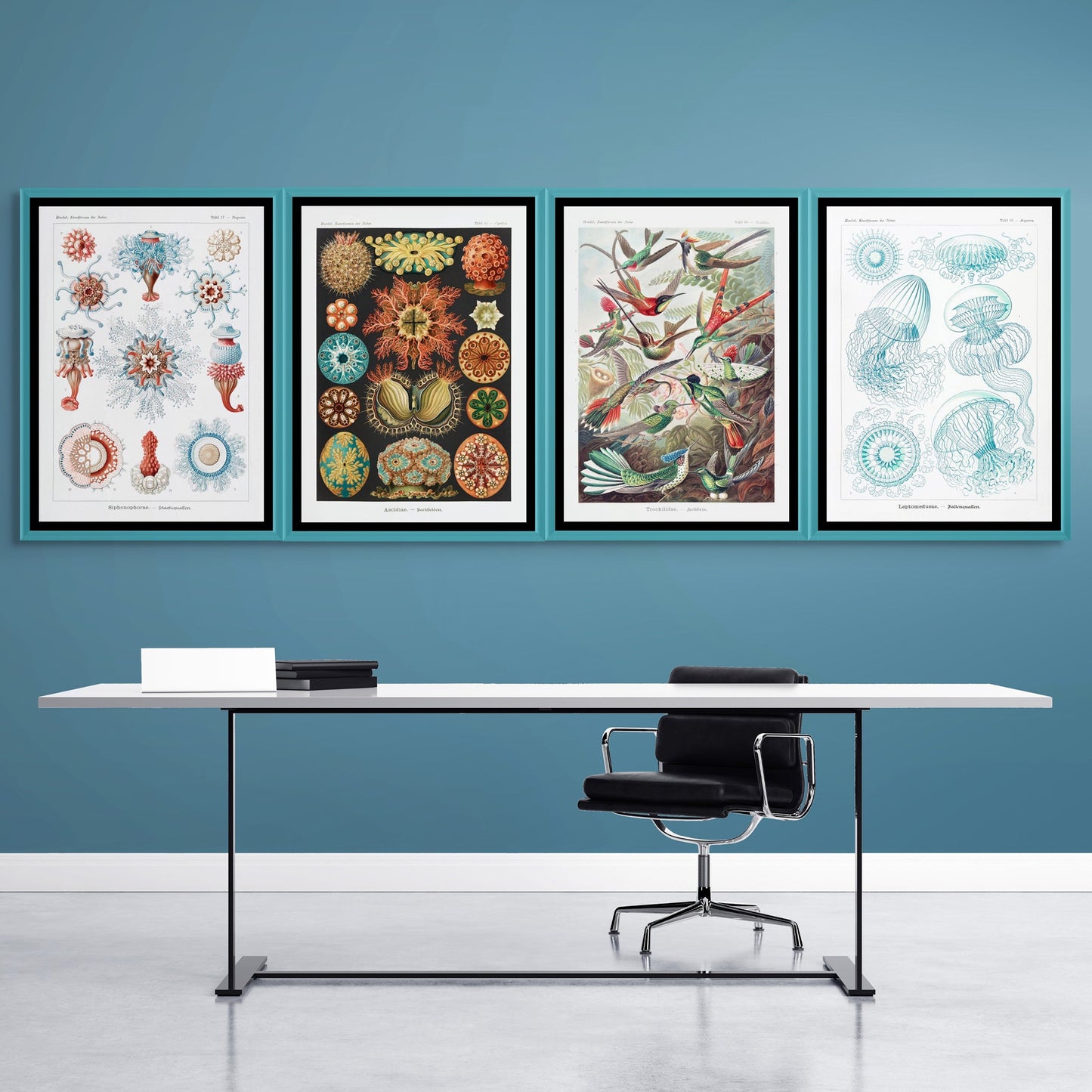 Trochilidae–Kolibris from Kunstformen der Natur 1904 - Milisima Studio